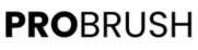 5-i-1 Prostyler hos Probrush